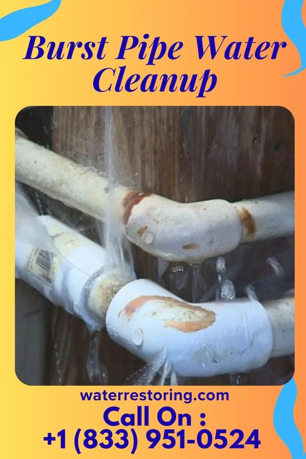 Burst Pipe Water Cleanup in Woodstock, OH