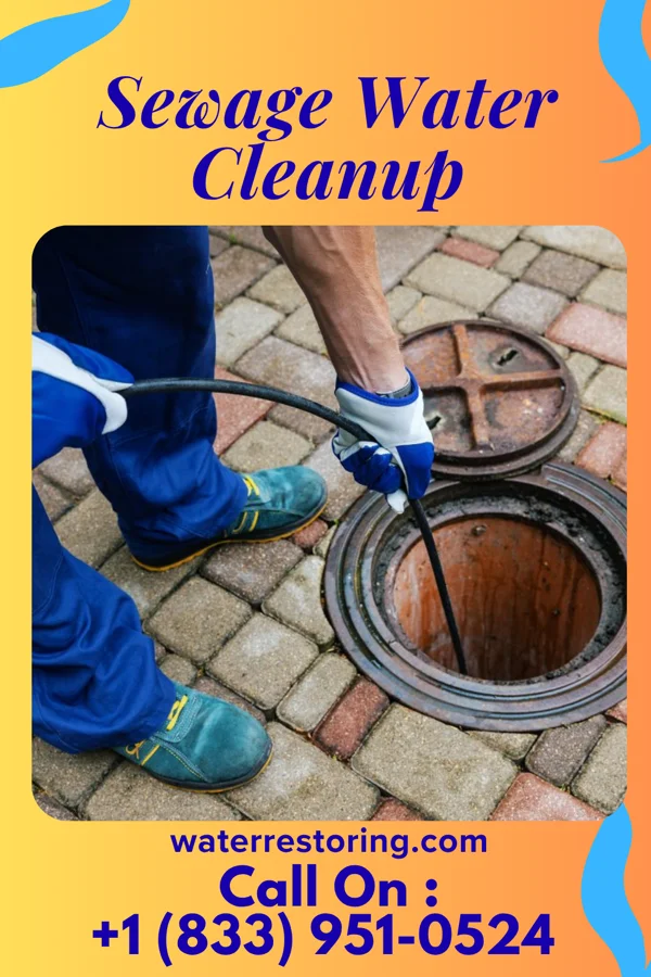 Sewage Water Cleanup in Woodstock, OH