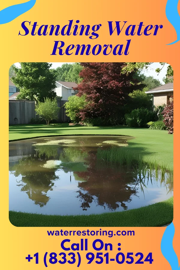 Standing Water Removal in Woodstock, OH